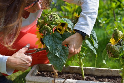 Gardeners wearing PPE and conducting a site safety check